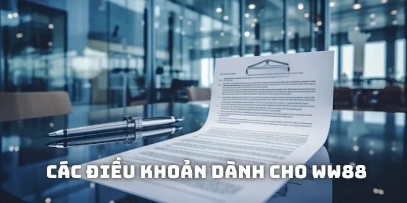 Tổng hợp các điều khoản dành cho WW88 Tổng hợp các điều khoản dành cho WW88