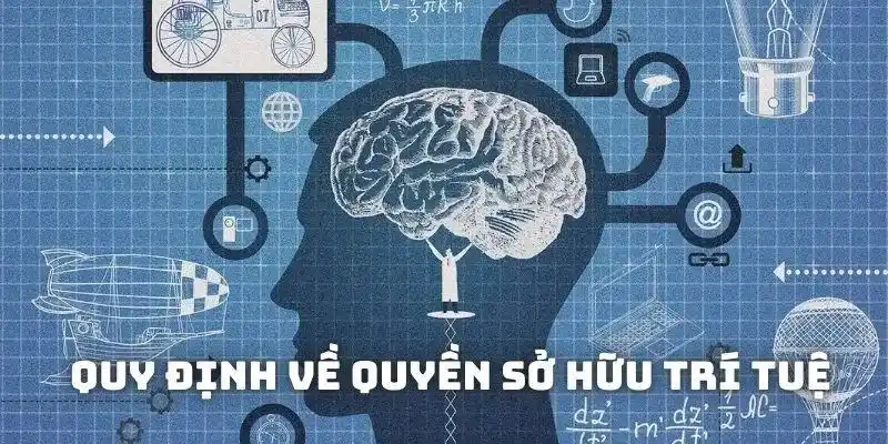 Quy định của WW88 về quyền sở hữu trí tuệ Quy định của WW88 về quyền sở hữu trí tuệ